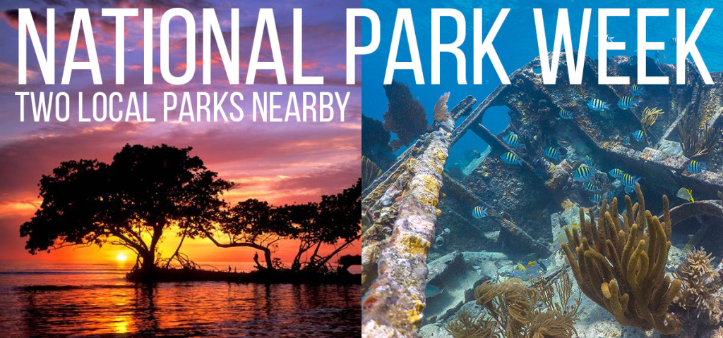 National Park week free admission to Everglades and Biscayne National Park