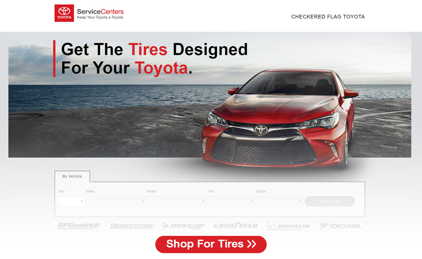 download checkered flag hyundai service department