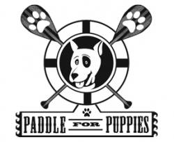 paddle