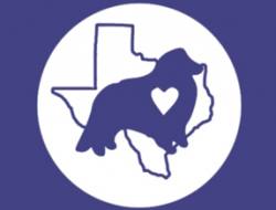 Austin Sheltie Rescue