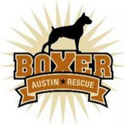 Austin Boxer