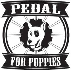 pedal
