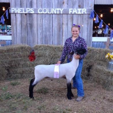 Phelps County Fair
