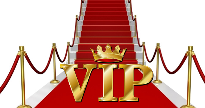 Image result for vip