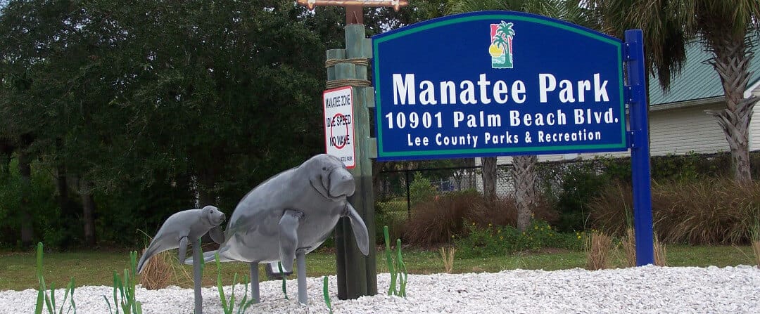 The Lee County Manatee Park is the Best Place to See Manatees in Florida