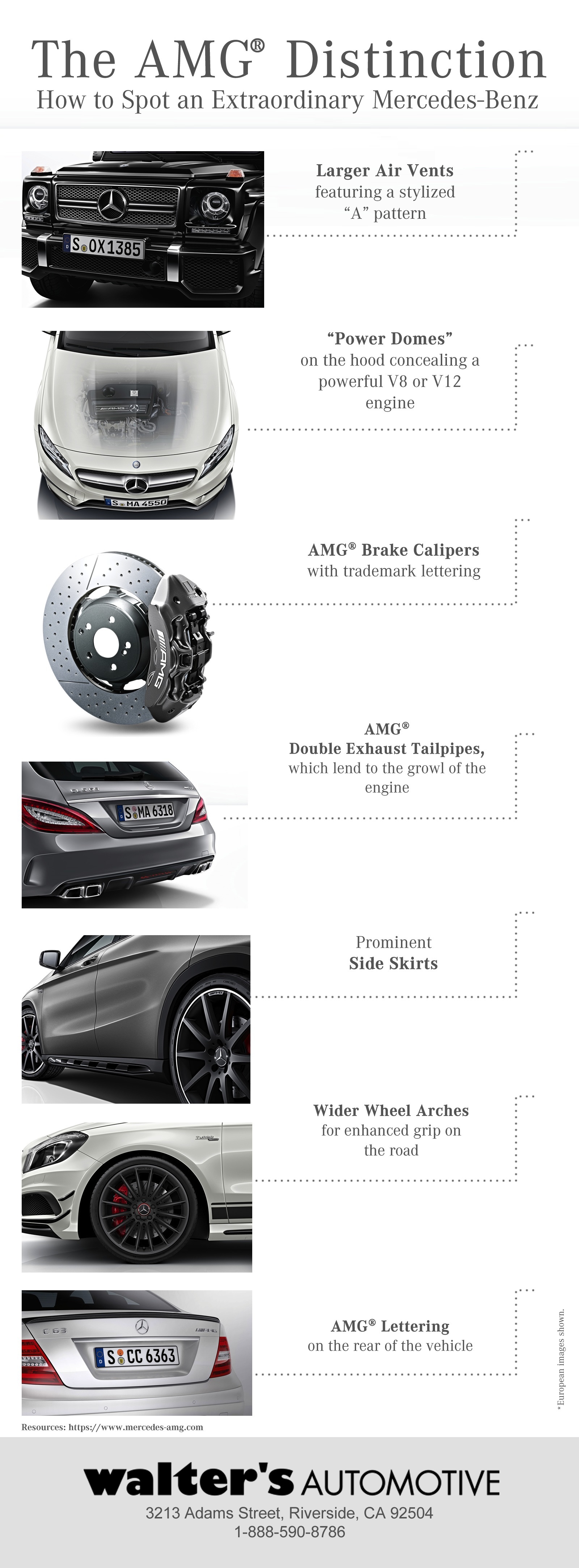AMG®- A Standout Vehicle [Infographic]
